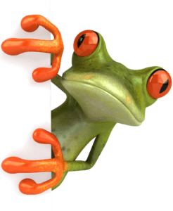 FROG3