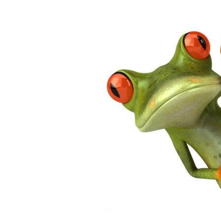 FROG1(1)